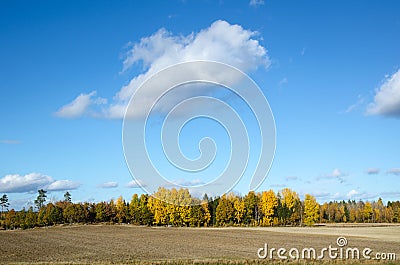 Colorful landscape Stock Photo