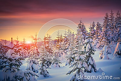 Colorful landscape at the winter sunrise in mountain forest Stock Photo