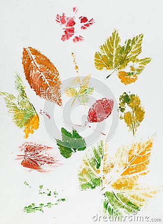 Colorful leaf imprint Stock Photo