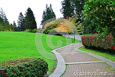 Colorful Leaves at Autumn, VanDusen Botanical Garden, Vancouver Downtown, British Columbia Stock Photo