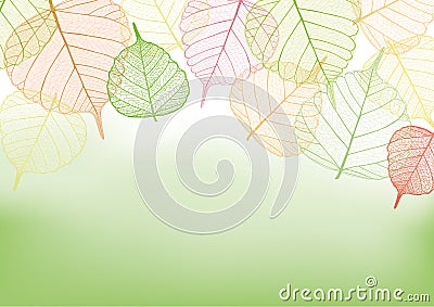 Colorful leaves with copy space Cartoon Illustration