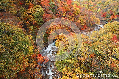 Colorful leaves in Gully Matsukawa Stock Photo