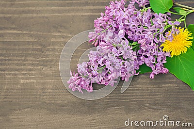 Colorful lilac flowers on wooden background Stock Photo