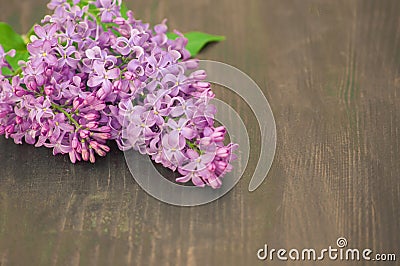 Colorful lilac flowers on wooden background Stock Photo