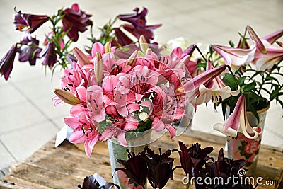 Colorful lilies in vase Stock Photo