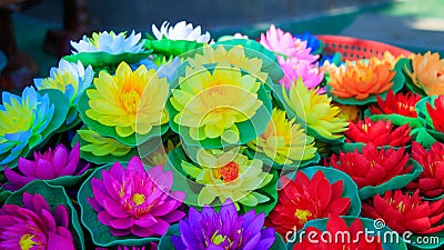 Colorful Lotus Flowers made of Plastic , Artificial Lotus Flower Stock Photo