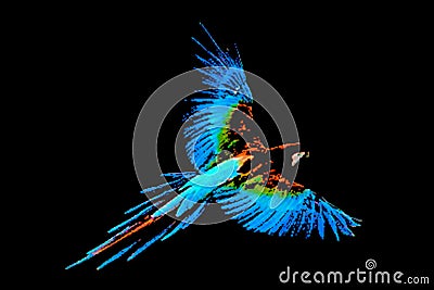 colorful macaw bird silhouette wild bird isolated on transparent white background vector image Stock Photo