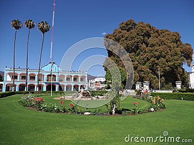 Colorful main square in front of town hall and cypress tree with stoutest trunk in Santa Maria del Tule city in Mexico Editorial Stock Photo