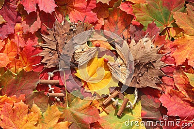 Colorful maple leaves Stock Photo