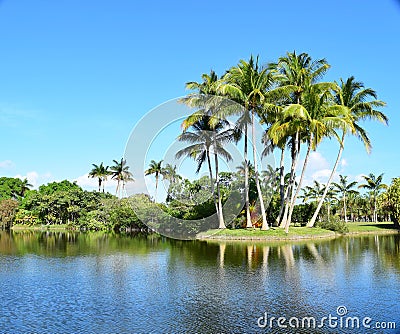 Colorful Marbles in the Pond Stock Photo