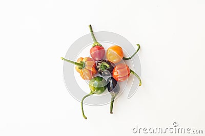 A colorful mix of the hottest chili peppers Stock Photo