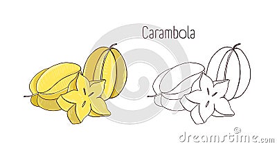 Colorful and monochrome outline drawings of carambola or starfruit. Whole and cut in cross-section ripe juicy fruits Vector Illustration