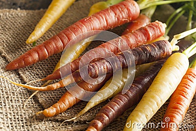 Colorful Multi Colored Raw Carrots Stock Photo