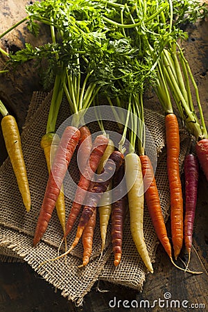 Colorful Multi Colored Raw Carrots Stock Photo