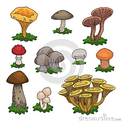 Colorful mushrooms set Vector Illustration