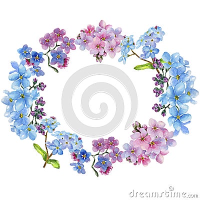 Colorful myosotis. Floral botanical flower. Frame border ornament square. Stock Photo
