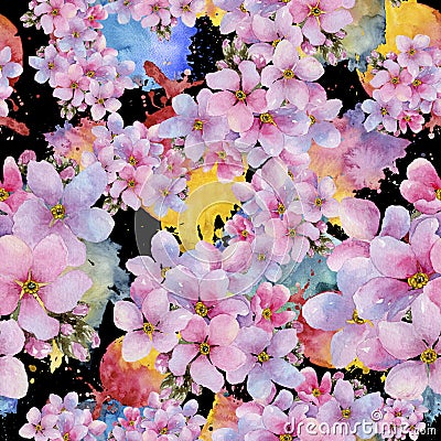 Colorful myosotis. Floral botanical flower.Seamless background pattern. Stock Photo