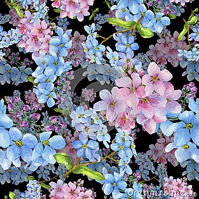 Colorful myosotis. Floral botanical flower.Seamless background pattern. Stock Photo