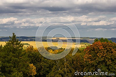 Colorful natural landscape with field, trees and sky. Stock Photo