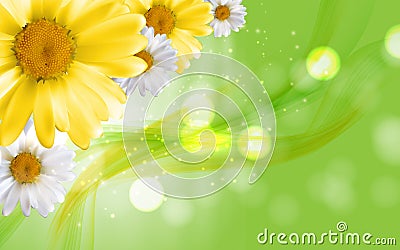 Colorful Naturalistic Beautiful 3D Chamomile Background Vector I Vector Illustration