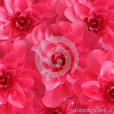 Colorful naturalistic blossoming pink camellia flower on pattern background. Vector Illustration Vector Illustration