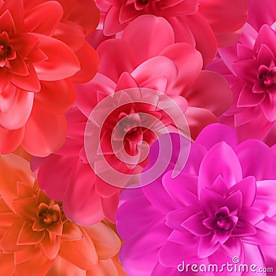 Colorful naturalistic blossoming pink, orange, red camellia flower on pattern background. Vector Illustration Vector Illustration