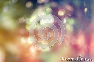 Colorful nature jungle or forest abstract blur for design background & texture Stock Photo