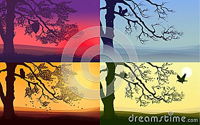 Colorful Nature Landscapes Set Vector Illustration