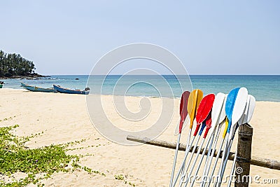 Colorful oars with beach background, water sport, holiday activity at the beac Stock Photo