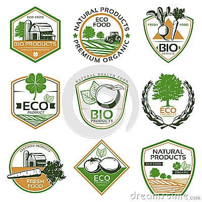 Colorful Organic Eco Emblems Collection Vector Illustration