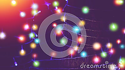 Colorful outdoor string lights wrapped around tree Stock Photo