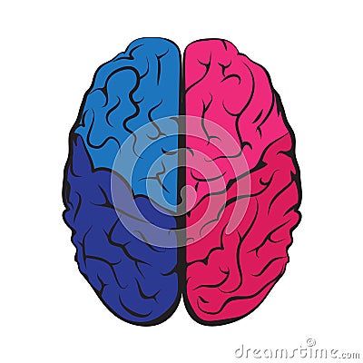 Colorful outline brain mark. Vector Illustration