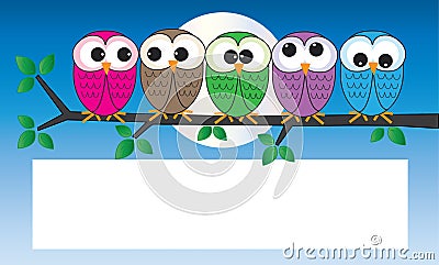 Colorful owls sitting on a branch Stock Photo