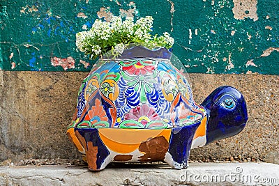 Colorful ceramic turtle planter with white flowers at a St. Louis restaurant Editorial Stock Photo