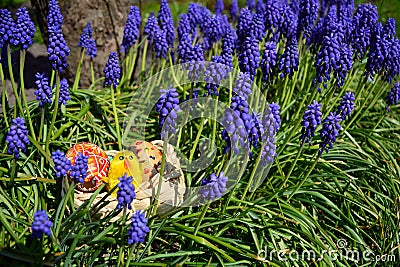 Colorful painted easter eggs on a basket on a green grass Stock Photo