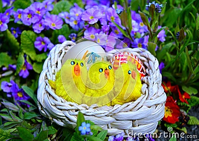 Colorful painted easter eggs on a basket on a green grass Stock Photo