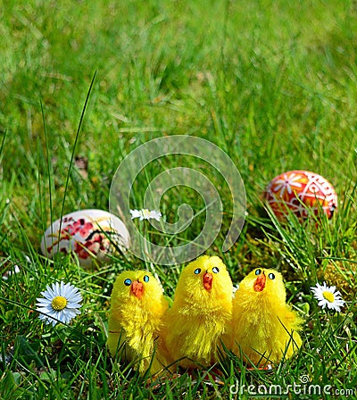 Colorful painted easter eggs on a green grass Stock Photo