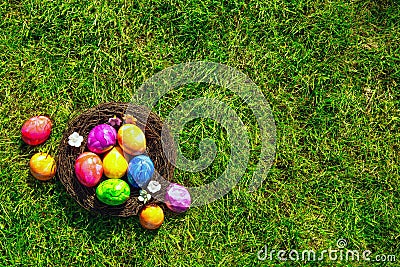 Colorful painted Easter eggs in nest on fresh green grass top view, Happy Easter Holliday concept background with copy Stock Photo