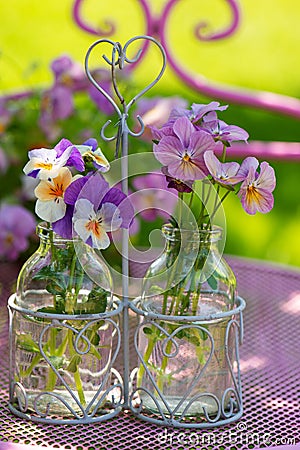 Colorful pansies in small bottles Stock Photo