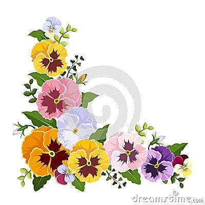 Colorful pansy flowers corner. Vector illustration. Vector Illustration