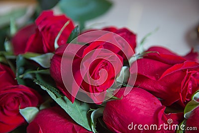 Colorful paper hearts on line as a gift for Valentine`s Day. Red rose bouquet of flowers . Red roses on a old wooden table Stock Photo