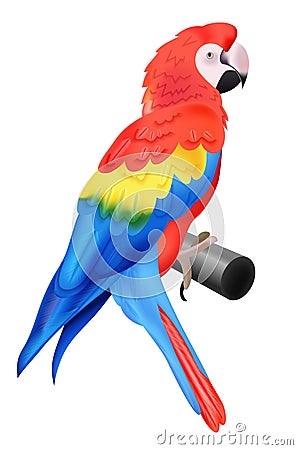 Colorful parrot macaw isolated on white background Vector Illustration
