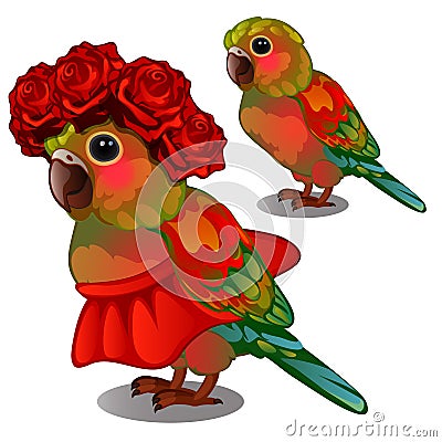Colorful parrot in a red skirt and a wreath of rosebuds on his head isolated on white background. Vector illustration. Vector Illustration