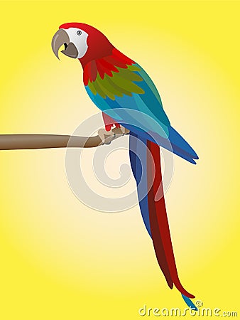 Colorful parrot Vector Illustration