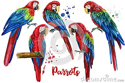 Colorful parrots, red macaw, set tropical birds, isolated white background, watercolor illustration. jungle design Cartoon Illustration