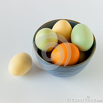 Colorful pastel eggs in a blue bowl on a white background. Concept-Easter, healthy food, organic products, farm products. Copy s Stock Photo