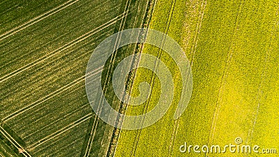 Colorful patterns in crop fields at farmland, aerial view, drone photo Stock Photo