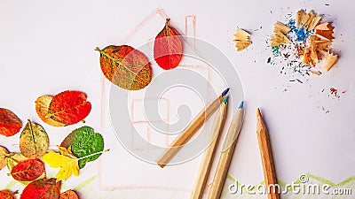 Colored pencils and leaves on paper with a drawing Stock Photo