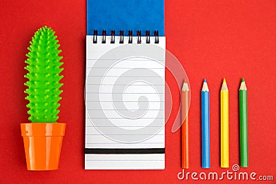 Colorful pencils with cactus and notebook Stock Photo