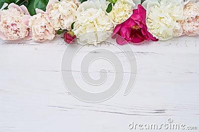 Colorful peonies border on white wooden background. Copy space, Stock Photo